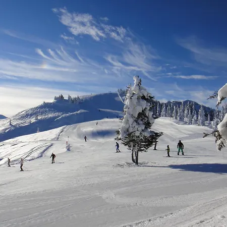 Domek alpejski Schatzberghuette