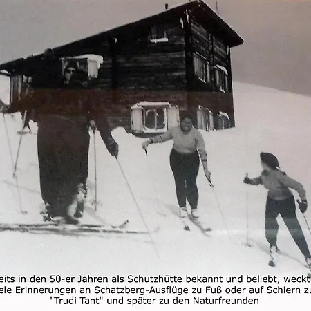 Schatzberghuette Domek alpejski *