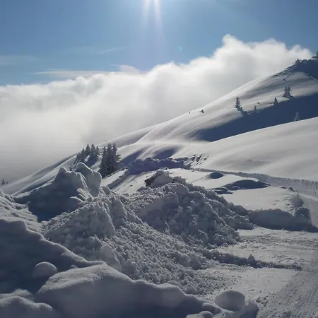 Domek alpejski Schatzberghuette