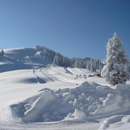 Schatzberghuette Domek alpejski *