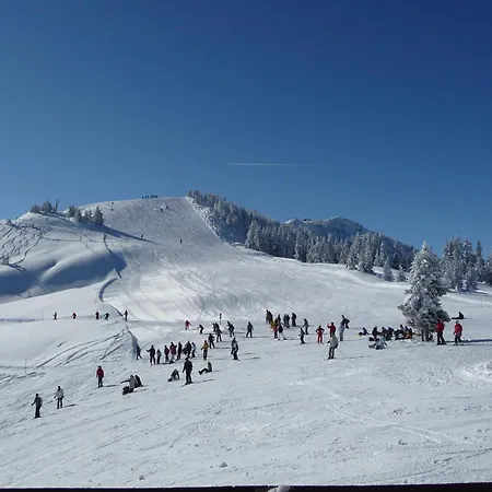 Schatzberghuette Domek alpejski