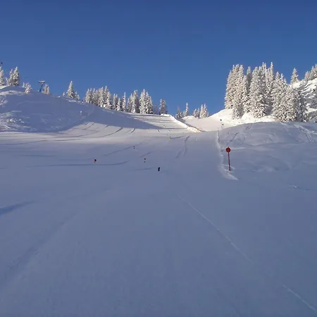 Domek alpejski Schatzberghuette Thierbach