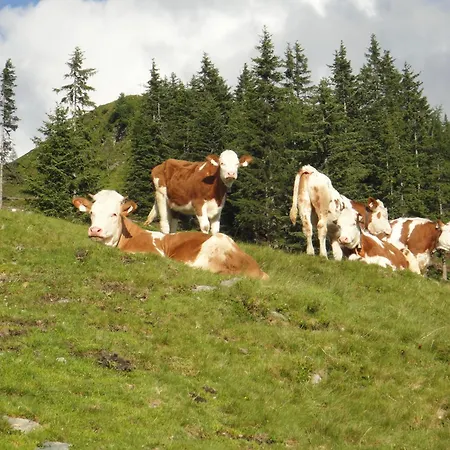 Schatzberghuette